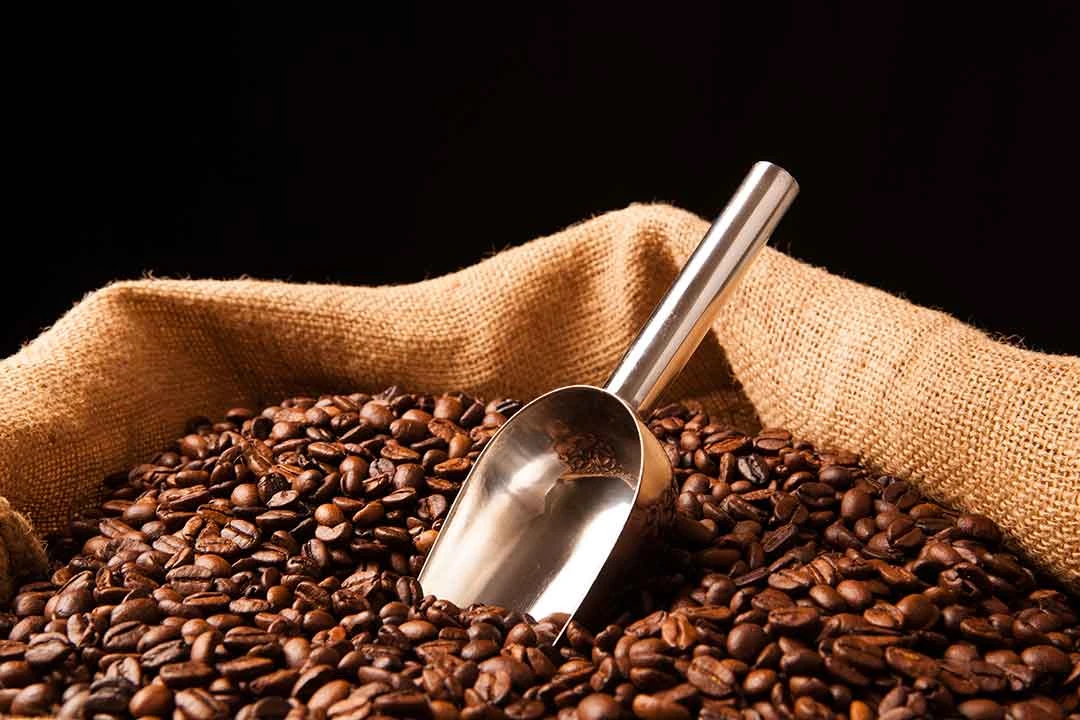 Kemasan Biji Kopi Mewah Kustom, Paket Variasi Pod Kopi Afrika, Solusi Pengemasan Kopi Inovatif
